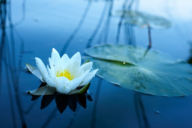 spokój i równowaga